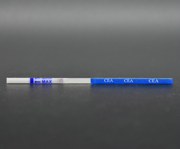 (CEA) Carcinoembryonic Antigen Test Strip CEA-P01B