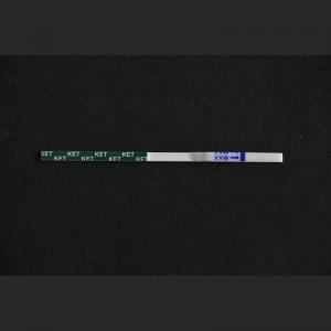 KET-U01B (KET) Ketamine Test Strip