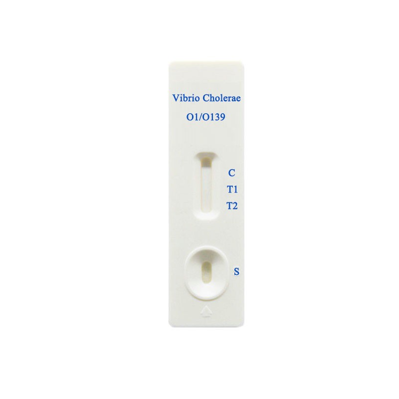VC19-F02B Vibrio Cholerae O139(VC O139) and O1(VC O1)Combo Test
